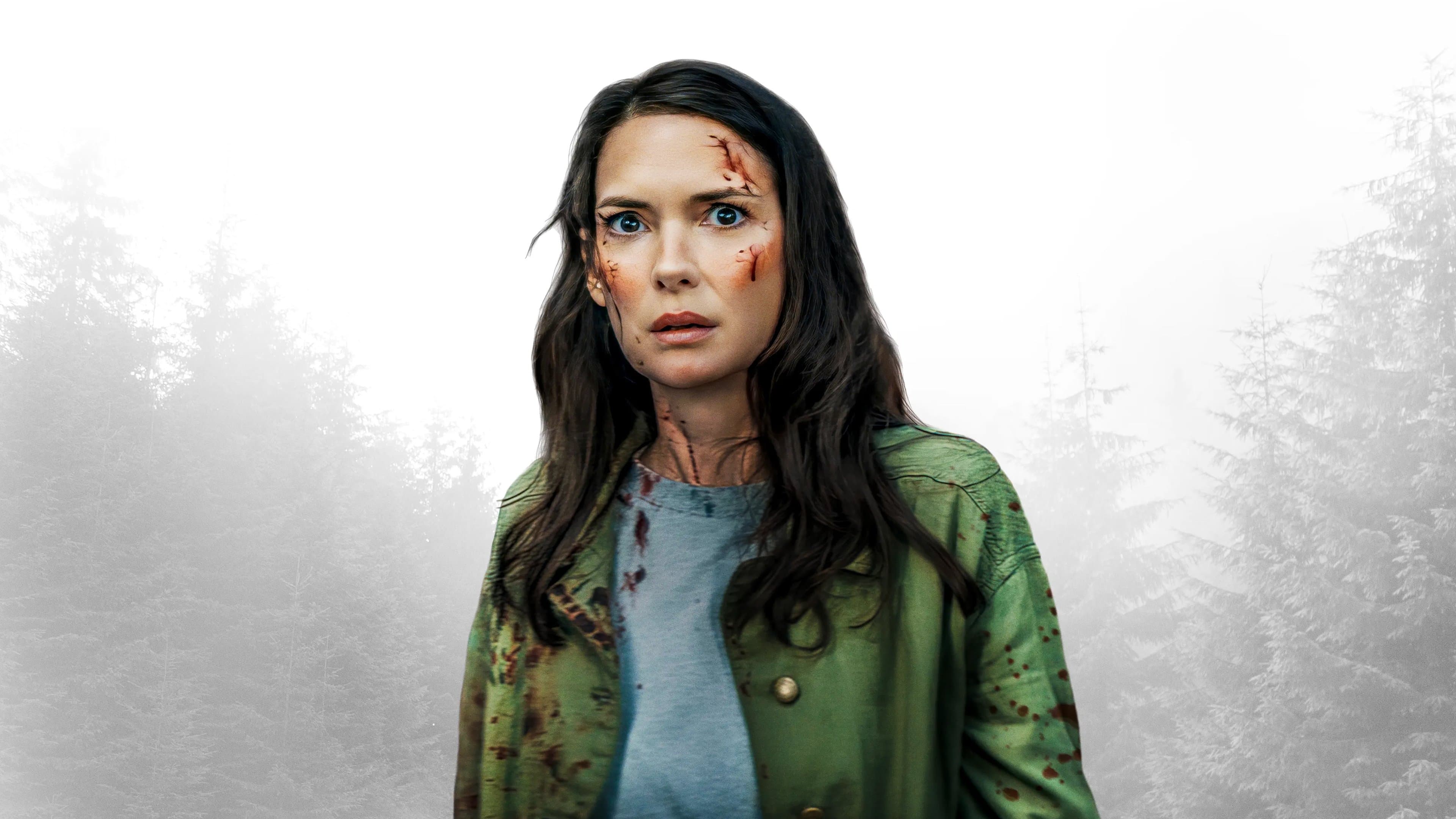 Póster oficial de la película Abandonada en alta calidad HD 4K