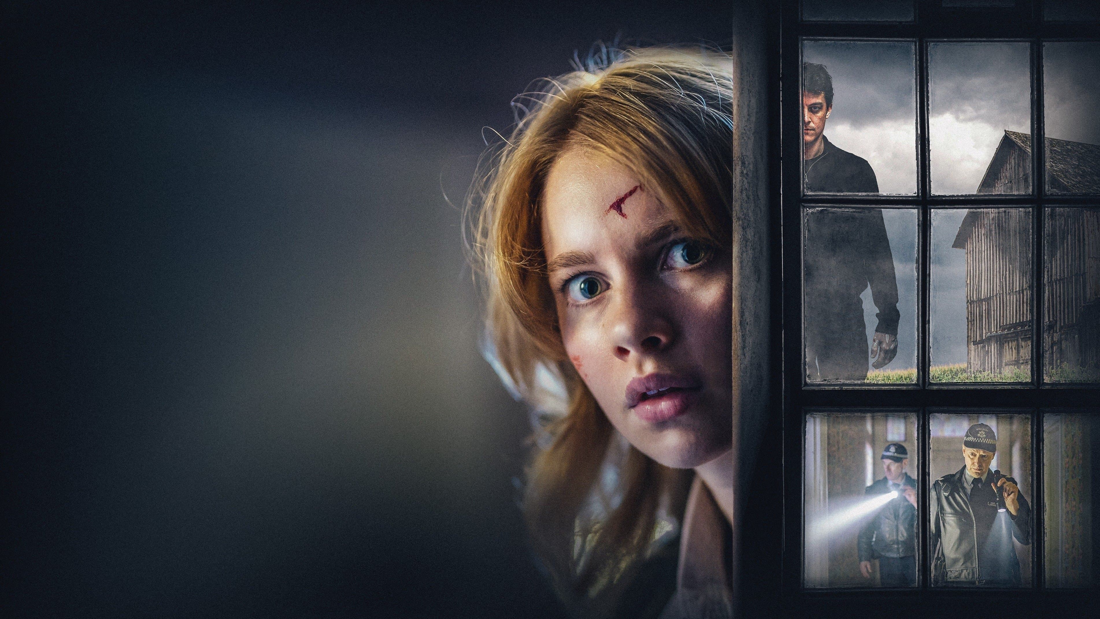 Póster oficial de la película La chica de la ventana en alta calidad HD 4K