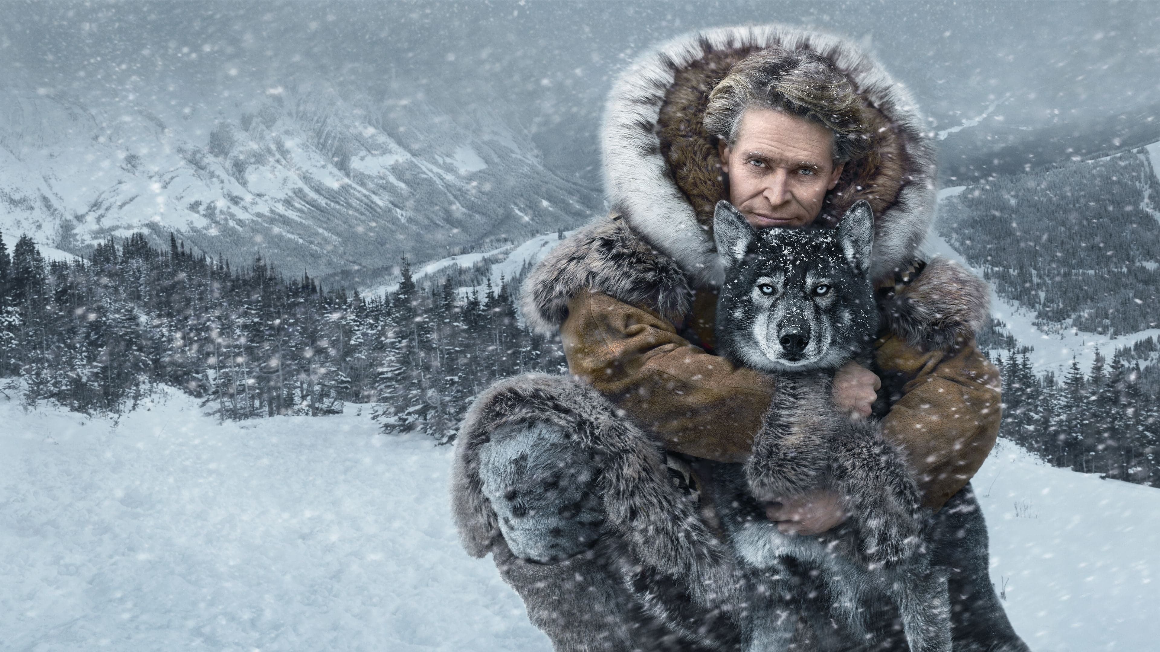 Póster oficial de la película Togo en alta calidad HD 4K