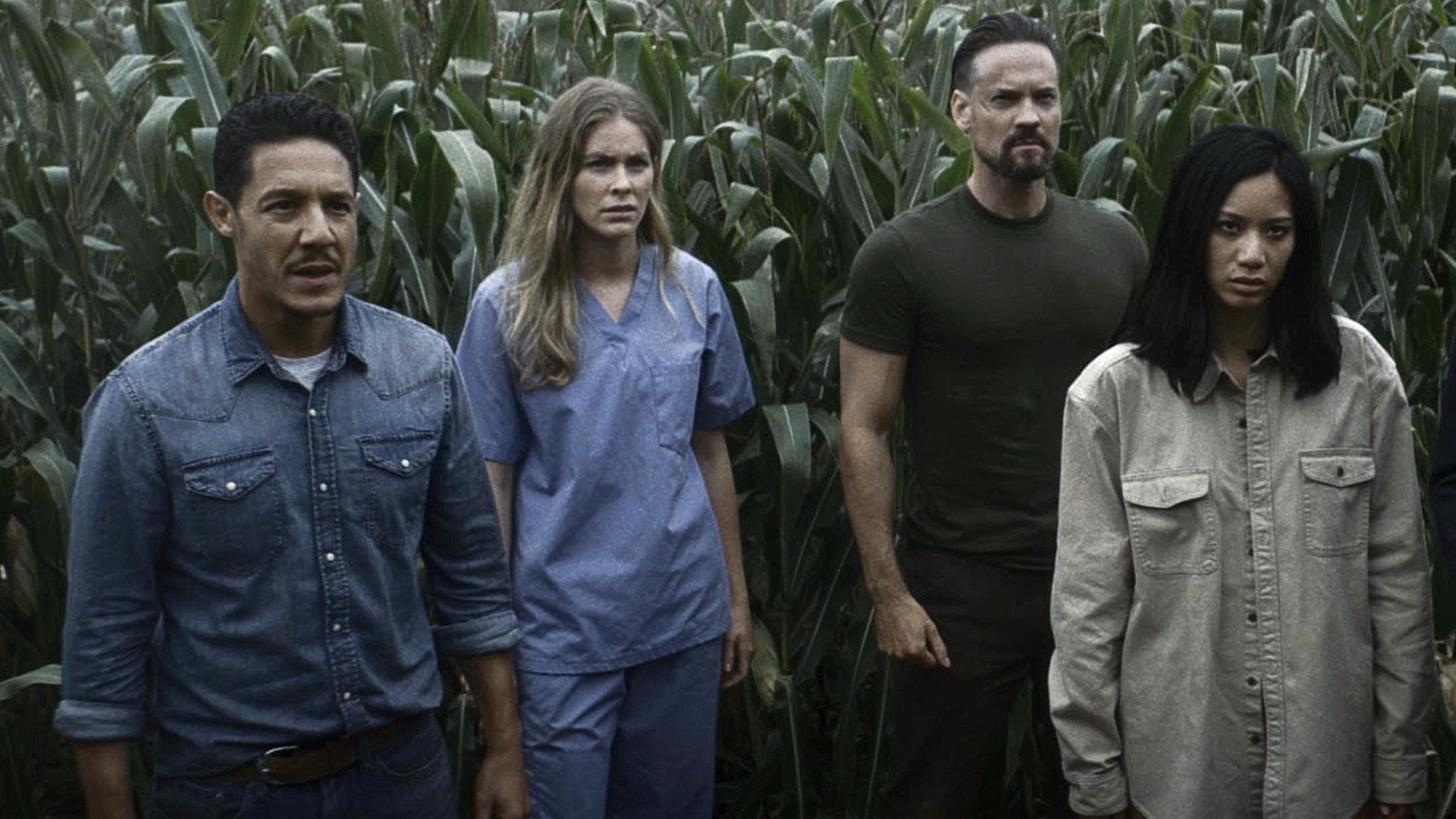 Póster oficial de la película El campo de la muerte en alta calidad HD 4K