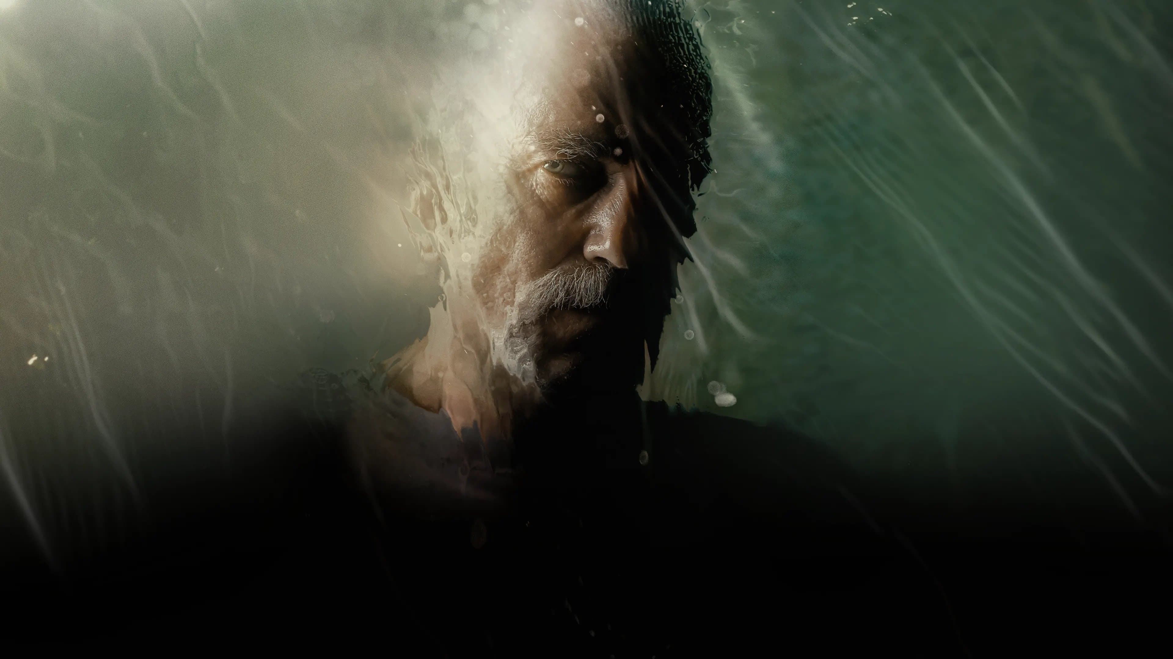 Póster oficial de la película Anémona en alta calidad HD 4K