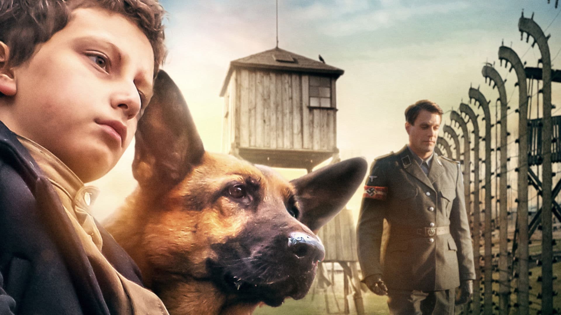 Póster oficial de la película Camino hacia la libertad en alta calidad HD 4K