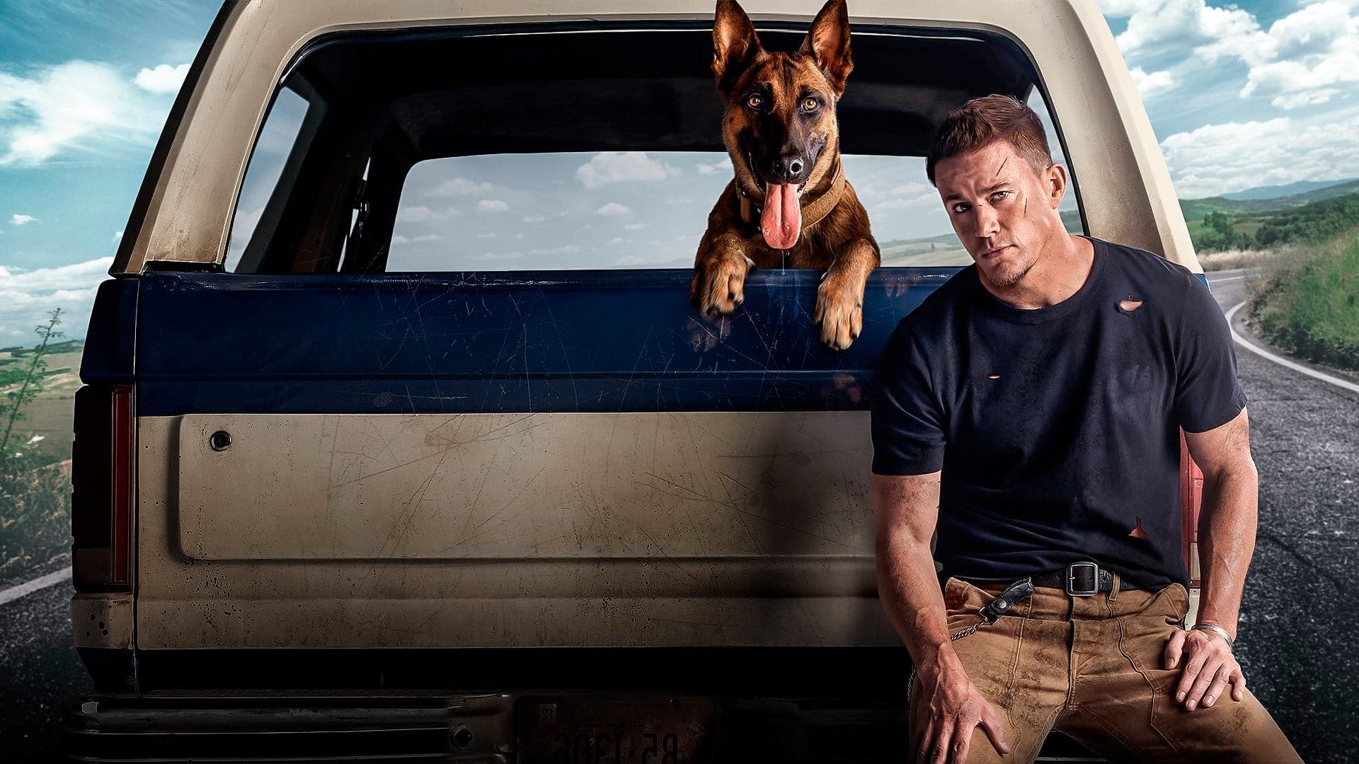 Póster oficial de la película Dog: Un viaje salvaje en alta calidad HD 4K