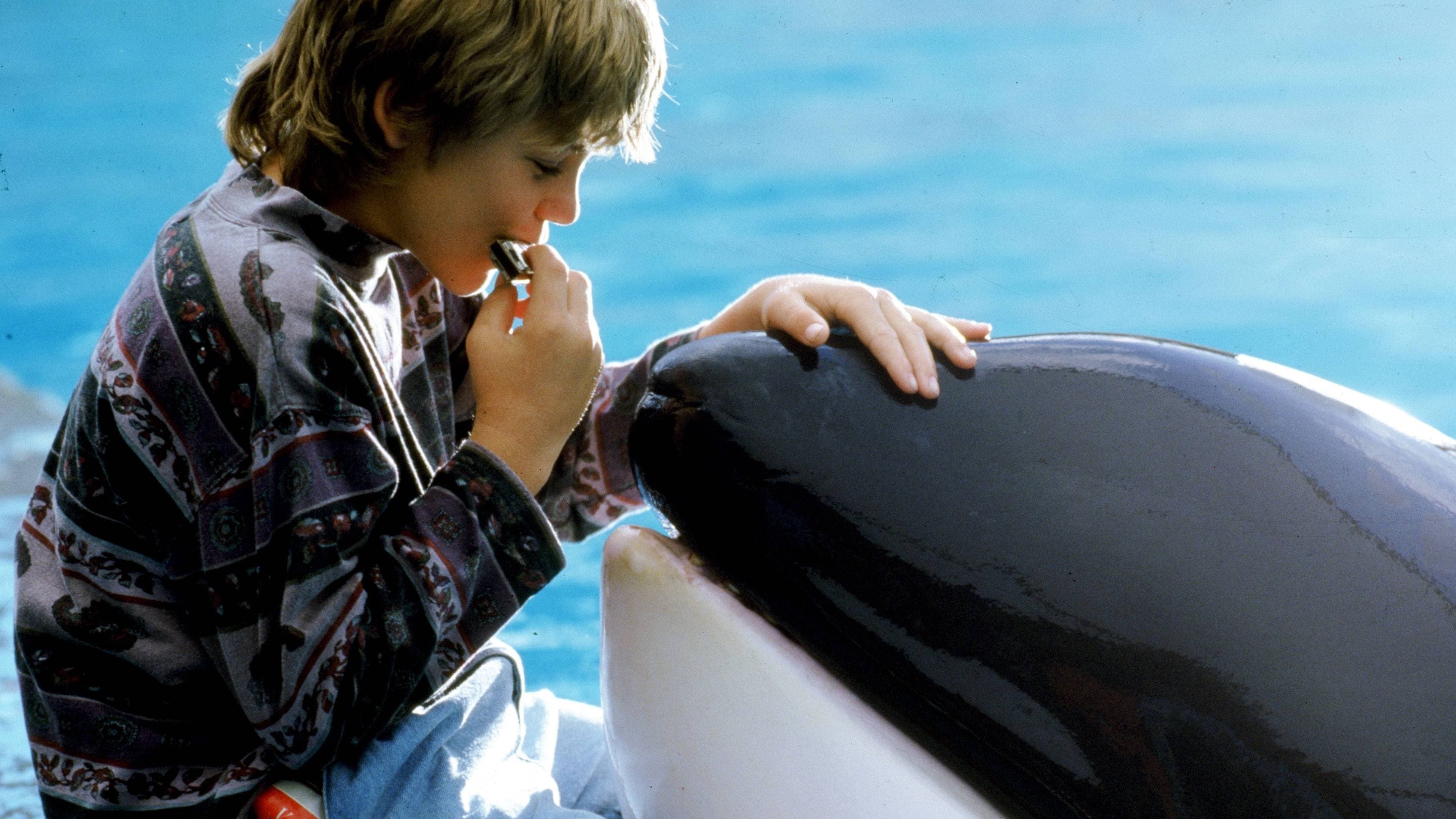 Póster oficial de la película Liberen a Willy en alta calidad HD 4K
