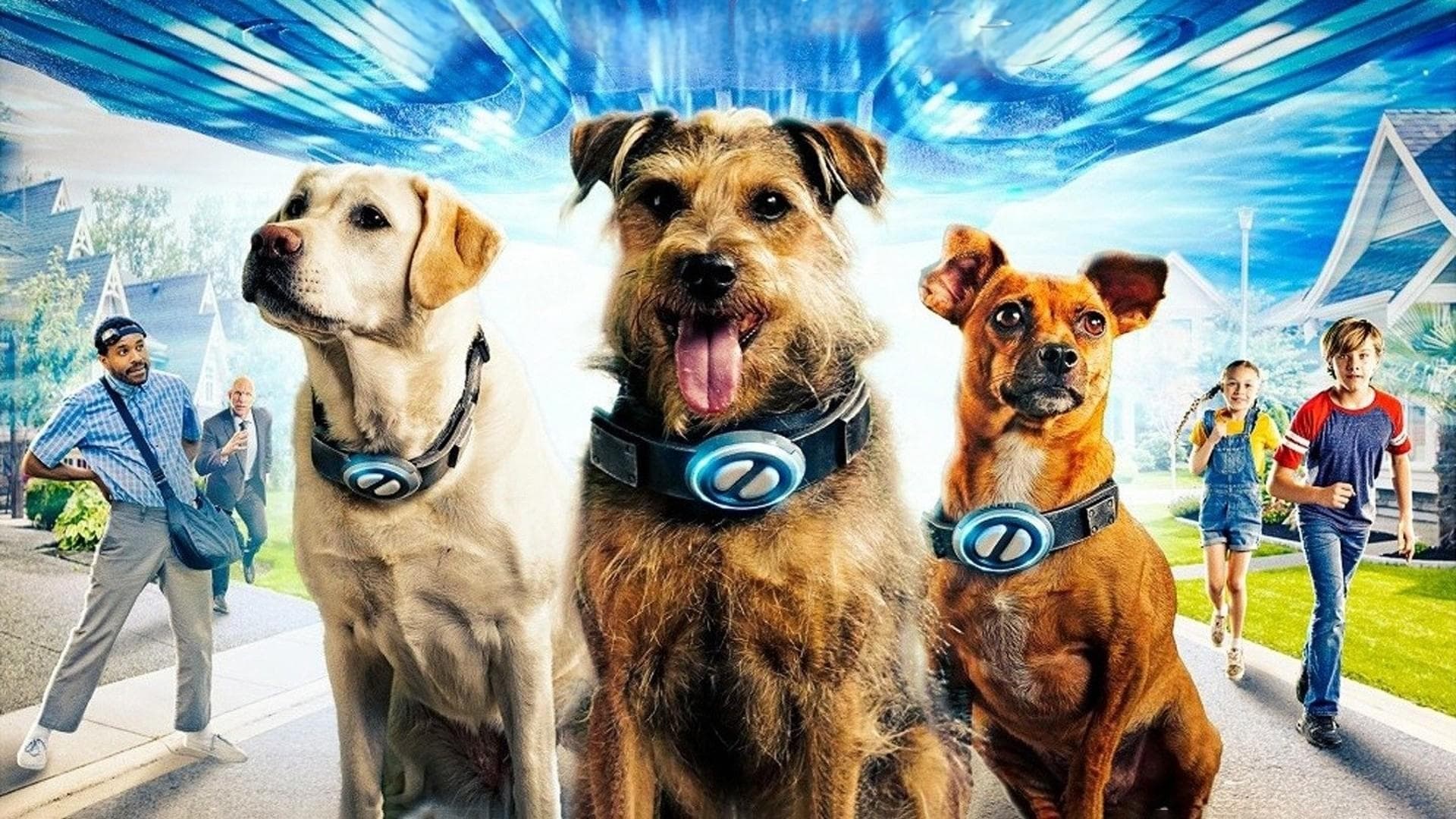 Cachorros espacieles