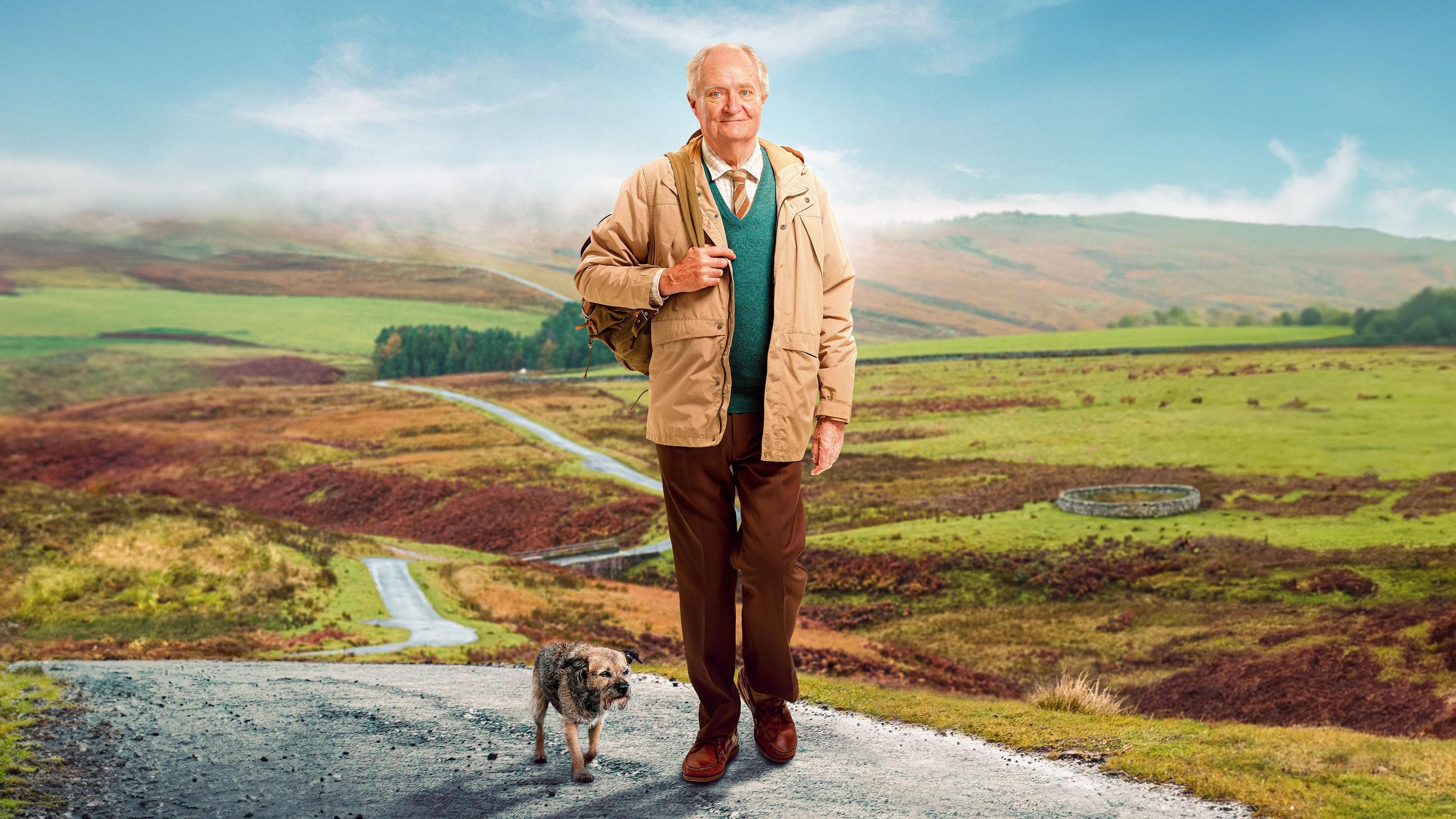Póster oficial de la película El viaje de Harold en alta calidad HD 4K