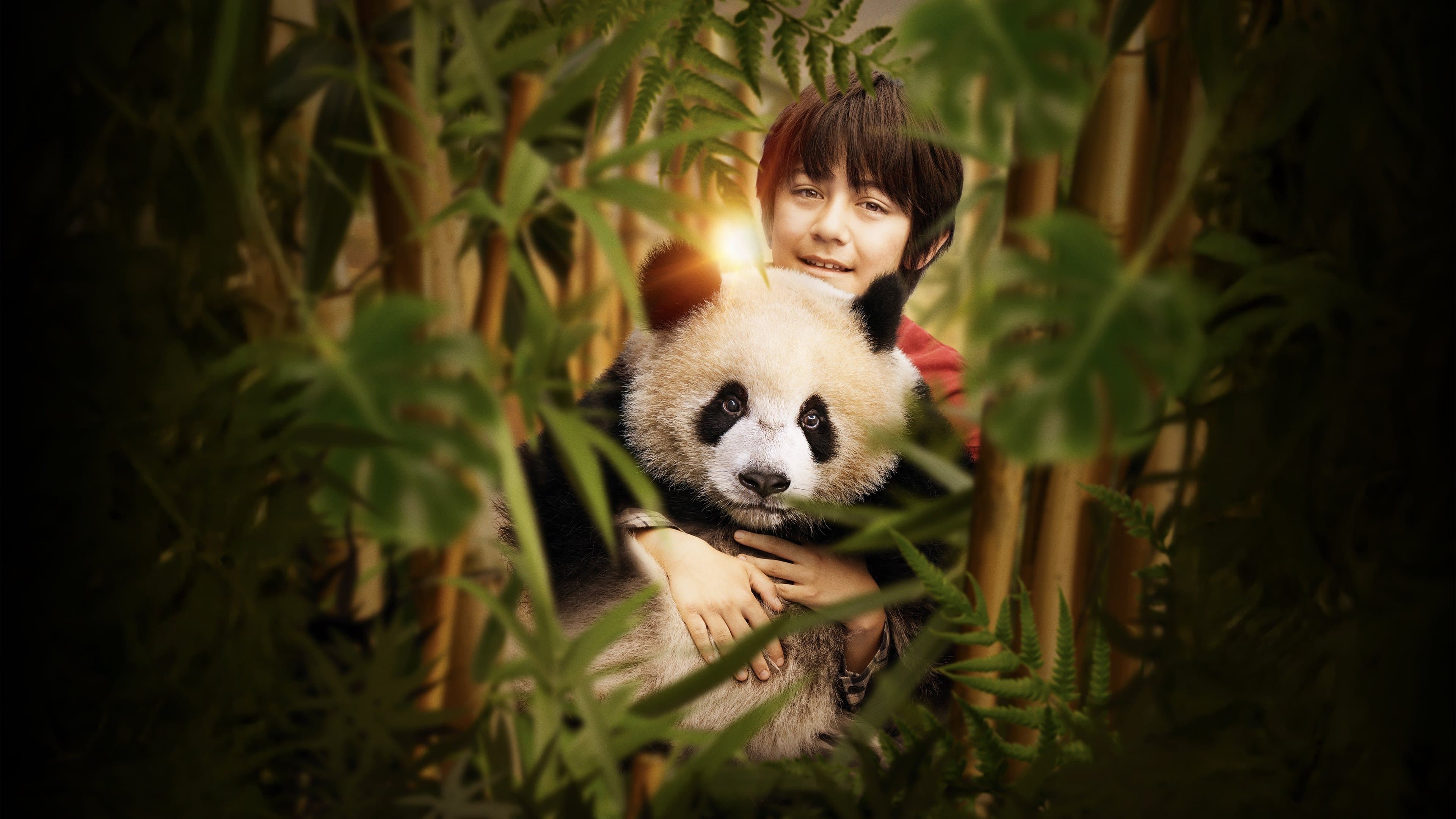 Póster oficial de la película Moon, mi amigo panda en alta calidad HD 4K