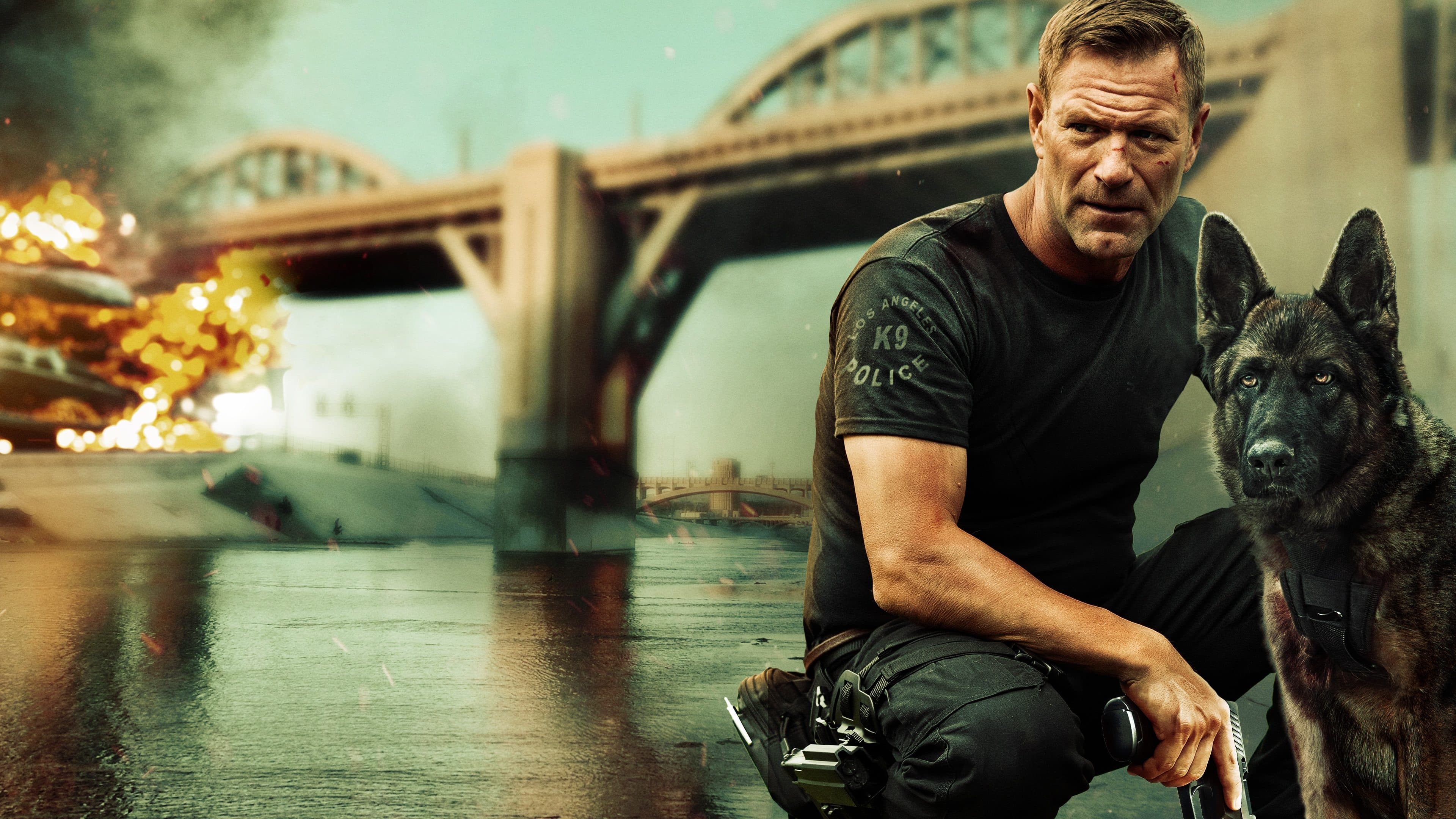 Póster oficial de la película En busca de venganza en alta calidad HD 4K