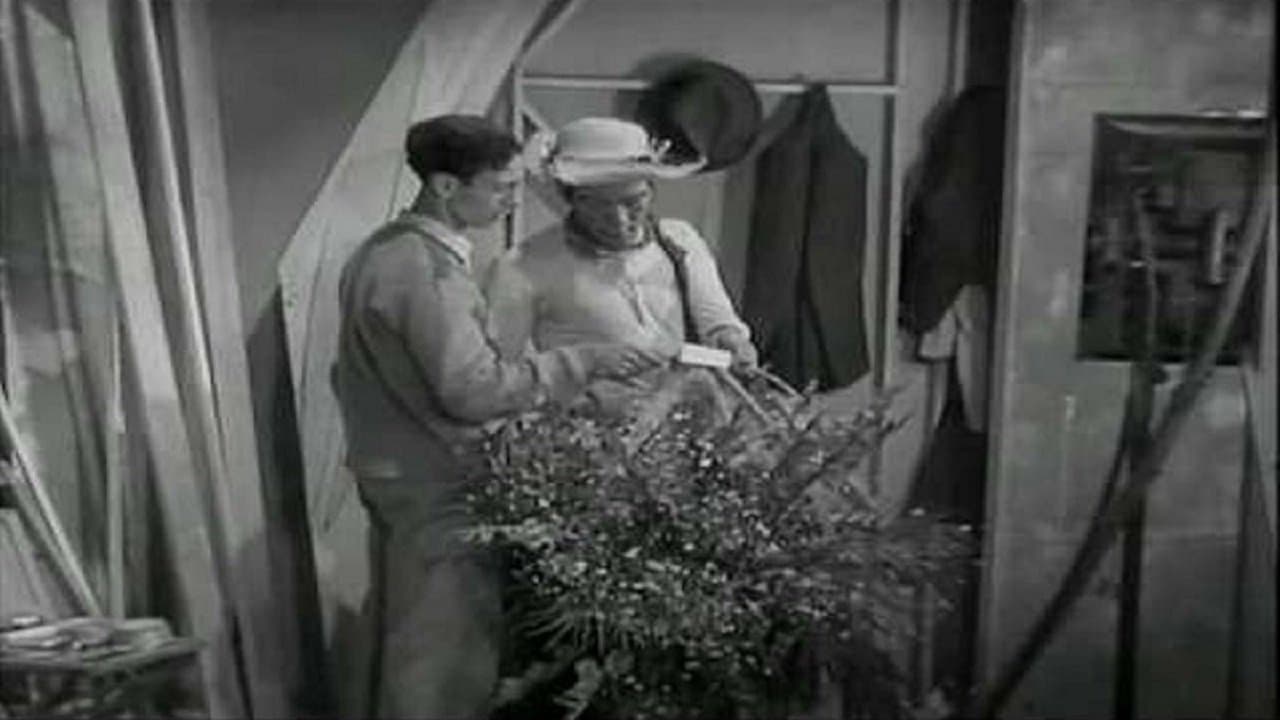 Cantinflas - Aguila o sol